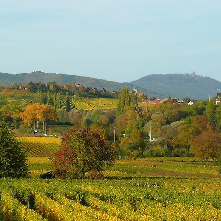 Le Gm Chambres D'Hotes De Charme En Alsace Mittelwihr Ngoại thất bức ảnh