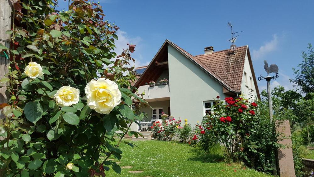 Le Gm Chambres D'Hotes De Charme En Alsace Mittelwihr Ngoại thất bức ảnh